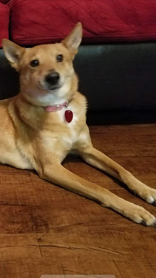 sugar ochoa