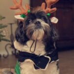 buddy zamudio Gallery