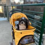 buddy zamudio Gallery