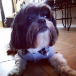 buddy zamudio Gallery