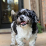 buddy zamudio Gallery