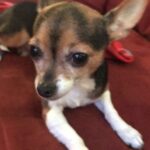 bailey rocha Gallery