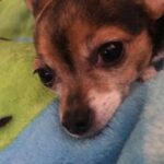 bailey rocha Gallery