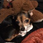 bailey rocha Gallery