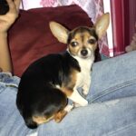 bailey rocha Gallery