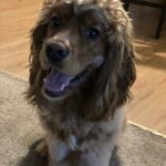 ollie rivers valdez-silva Gallery