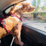 ollie rivers valdez-silva Gallery