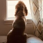 ollie rivers valdez-silva Gallery