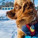 ollie rivers valdez-silva Gallery