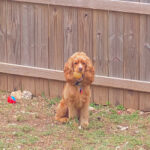 ollie rivers valdez-silva Gallery