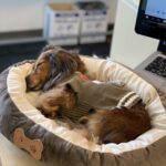 bruno bailey Gallery