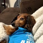 bruno bailey Gallery