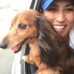 bruno bailey Gallery