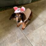 bruno bailey Gallery