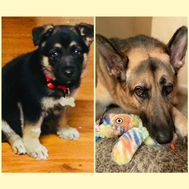 zeus garcia
