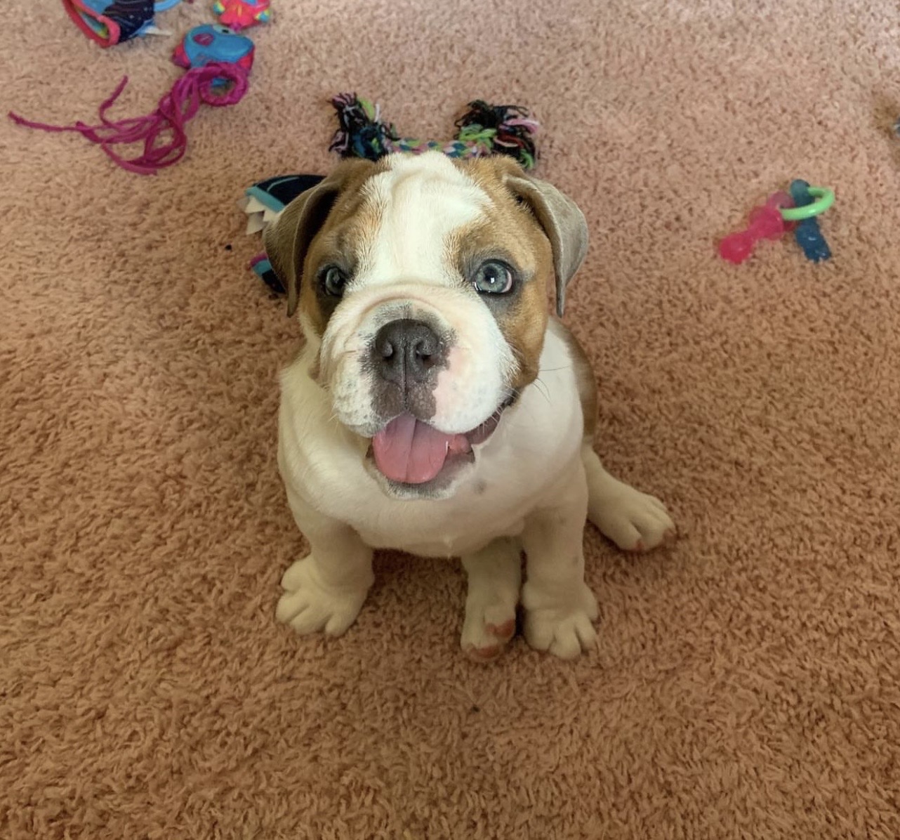 zoey elias