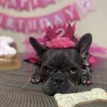 kobe benzaquen Gallery