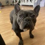 kobe benzaquen Gallery