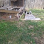 butch aguilar Gallery