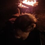 butch aguilar Gallery