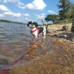 butch aguilar Gallery