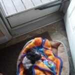 butch aguilar Gallery