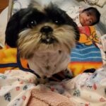 butch aguilar Gallery