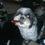 butch aguilar Gallery