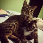 quinifred cierlak Gallery