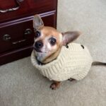 reese porter Gallery