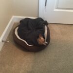 reese porter Gallery