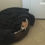 reese porter Gallery