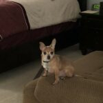 reese porter Gallery