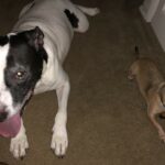 reese porter Gallery