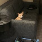 reese porter Gallery