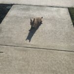 reese porter Gallery