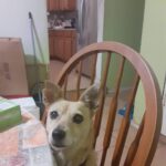 sugar vargas Gallery