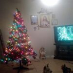 sugar vargas Gallery