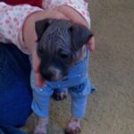 smudge berkoff Gallery