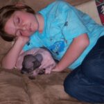 smudge berkoff Gallery