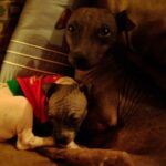 smudge berkoff Gallery