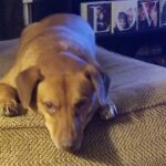 harley vasquez Gallery