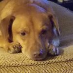 harley vasquez Gallery