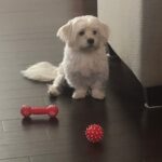 carl gonzales Gallery