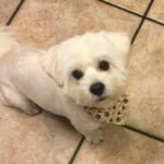 carl gonzales Gallery