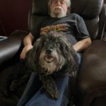 ginger bridges Gallery