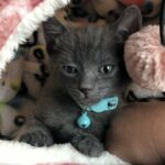 kiki hernandez Gallery