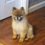 rudy mendoza Gallery