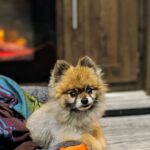 rudy mendoza Gallery