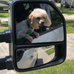 butter bean garcia Gallery